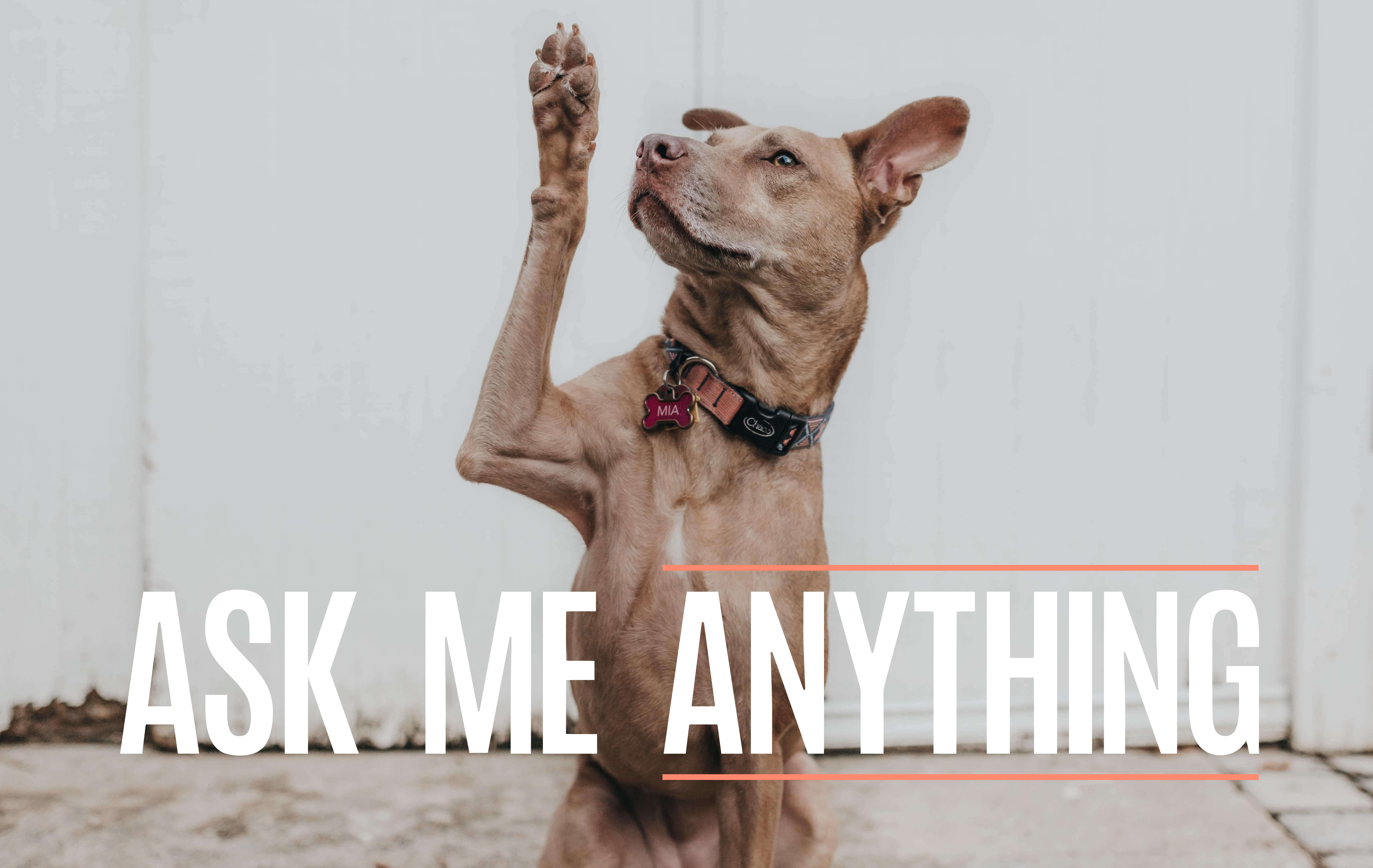 TapGoods Handbook – Renting Made Easy.